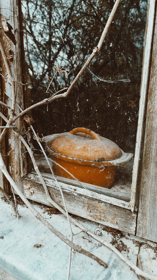 SENTIMENTŲ TAKAIS.